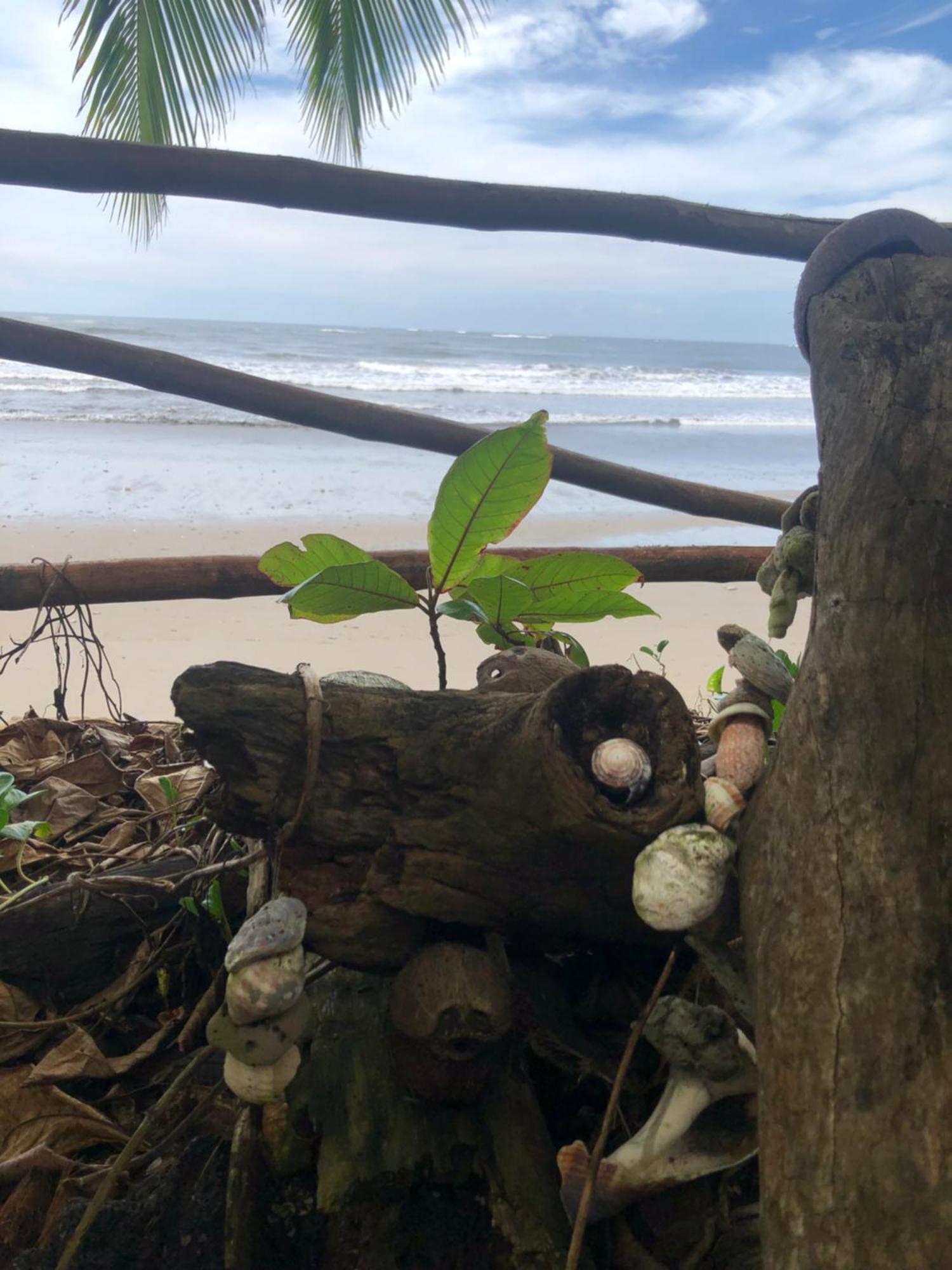 El Marabu Chill'N Surf Acomodação com café da manhã Aposentillo Exterior foto